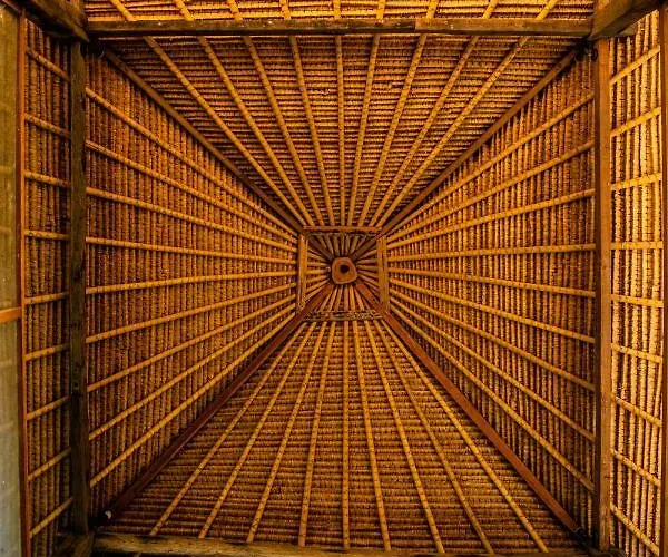 Vertical House Bali Orman Evi
